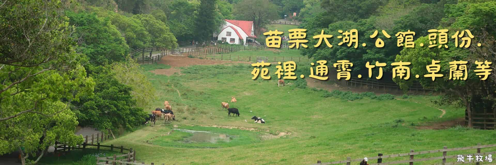 dahu-gongguan-toufen Banner